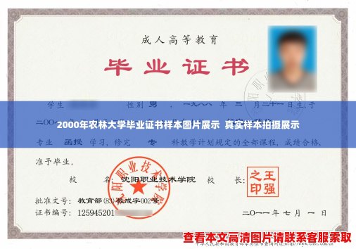2000年农林大学毕业证书样本图片展示 真实样本拍摄展示 2000年农林大学毕业证书样本图片展示 真实样本拍摄展示