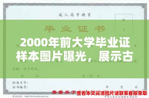 2000年前大学毕业证样本图片曝光,展示古代教育生态 2000年前大学毕业证样本图片曝光,展示古代教育生态