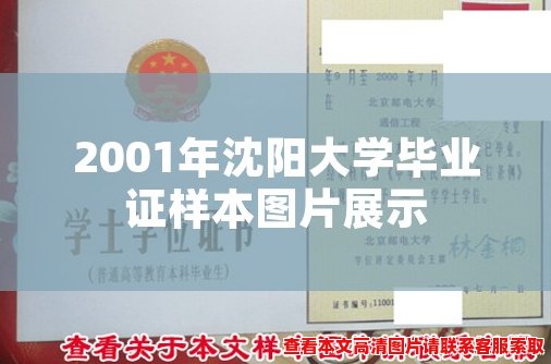 2001年沈阳大学毕业证样本图片展示 2001年沈阳大学毕业证样本图片展示