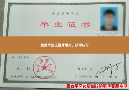 鲁美毕业证图片曝光,获得认可 鲁美毕业证图片曝光,获得认可