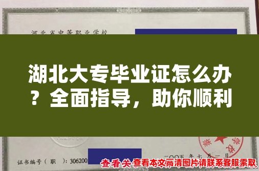 湖北大专毕业证怎么办？全面指导，助你顺利拿到毕业证！