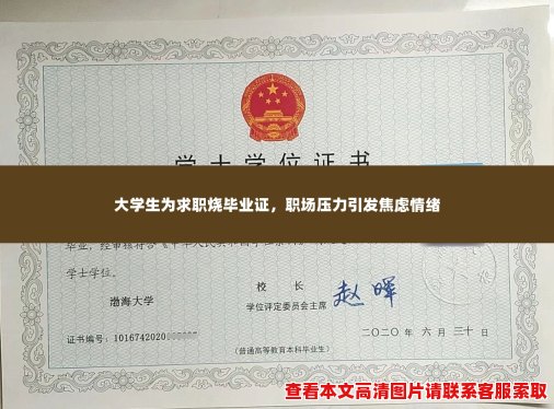 大学生为求职烧毕业证,职场压力引发焦虑情绪 大学生为求职烧毕业证,职场压力引发焦虑情绪