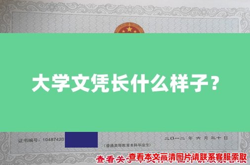 大学文凭长什么样子？