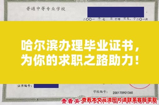 哈尔滨办理毕业证书，为你的求职之路助力！