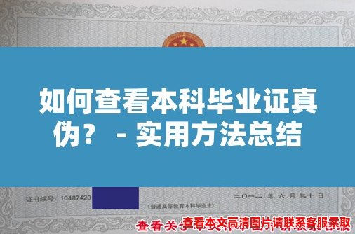 如何查看本科毕业证真伪？ - 实用方法总结