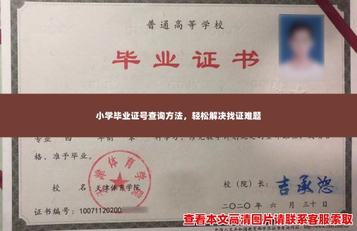 小学毕业证号查询方法,轻松解决找证难题 小学毕业证号查询方法,轻松解决找证难题