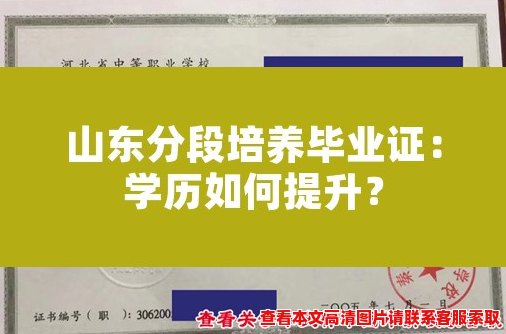 山东分段培养毕业证:学历如何提升? 山东分段培养毕业证:学历如何提升?