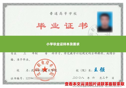 小学毕业证样本及要求