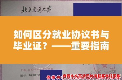 如何区分就业协议书与毕业证?——重要指南 如何区分就业协议书与毕业证?——重要指南