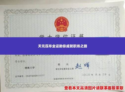 天元压毕业证助你成就职场之路