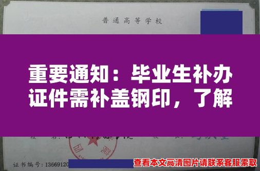 重要通知:毕业生补办证件需补盖钢印,了解一下! 重要通知:毕业生补办证件需补盖钢印,了解一下!