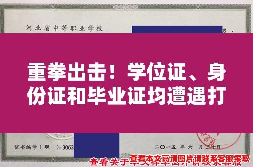 重拳出击!学位证、身份证和毕业证均遭遇打击 重拳出击!学位证、身份证和毕业证均遭遇打击
