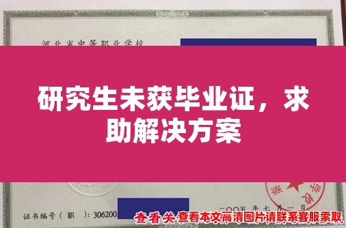 研究生未获毕业证,求助解决方案 研究生未获毕业证,求助解决方案