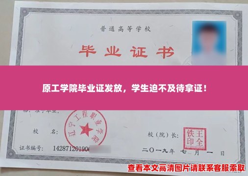 原工学院毕业证发放，学生迫不及待拿证！