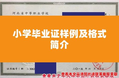 小学毕业证样例及格式简介 小学毕业证样例及格式简介