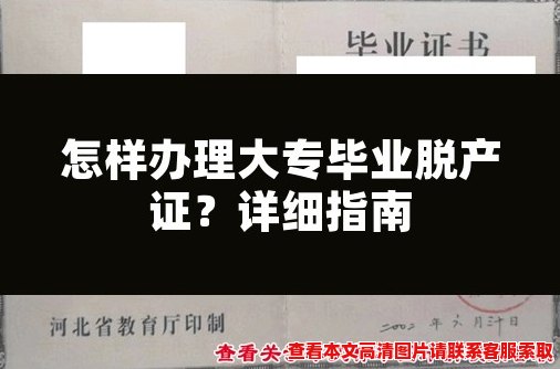 怎样办理大专毕业脱产证？详细指南