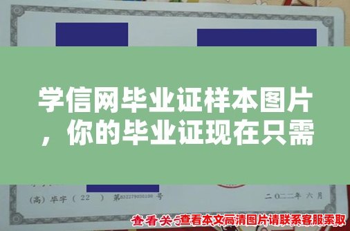 学信网毕业证样本图片，你的毕业证现在只需要这样一张！