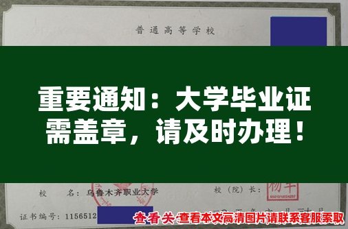 重要通知:大学毕业证需盖章,请及时办理! 重要通知:大学毕业证需盖章,请及时办理!