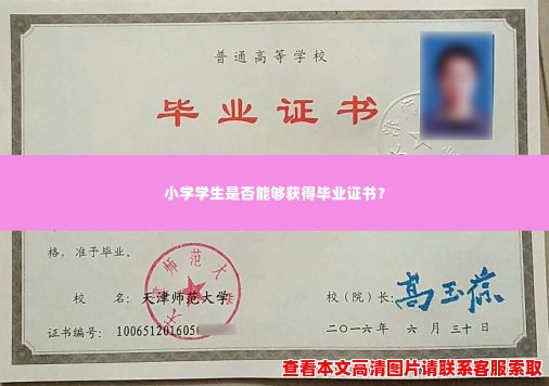小学学生是否能够获得毕业证书? 小学学生是否能够获得毕业证书?