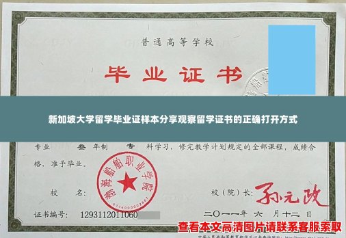 新加坡大学留学毕业证样本分享观察留学证书的正确打开方式 新加坡大学留学毕业证样本分享观察留学证书的正确打开方式