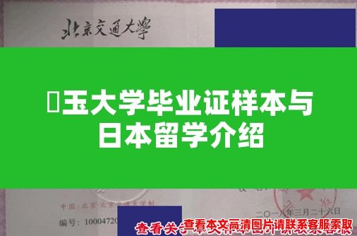 埼玉大学毕业证样本与日本留学介绍