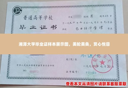 湘潭大学毕业证样本展示图，美轮美奂，赏心悦目