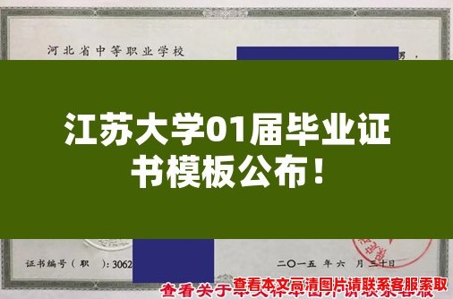 江苏大学01届毕业证书模板公布！