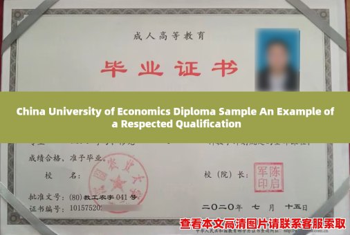 China University of Economics Diploma Sample An Example of a Respected Qualification