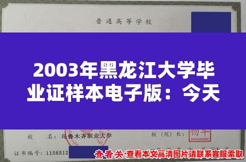 2003年黑龙江大学毕业证样本电子版：今天重温过去