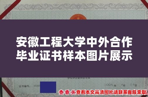 安徽工程大学中外合作毕业证书样本图片展示