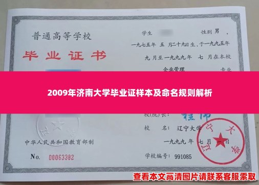 2009年济南大学毕业证样本及命名规则解析