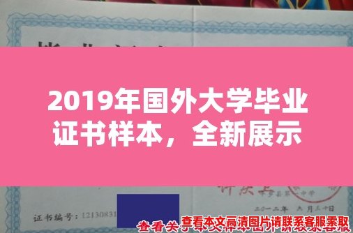 2019年国外大学毕业证书样本，全新展示