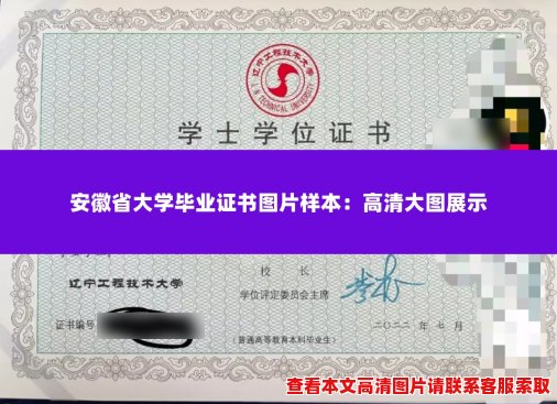 安徽省大学毕业证书图片样本:高清大图展示 安徽省大学毕业证书图片样本:高清大图展示