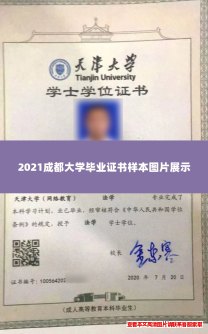 2021成都大学毕业证书样本图片展示