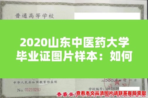 2020山东中医药大学毕业证图片样本：如何判断真伪？