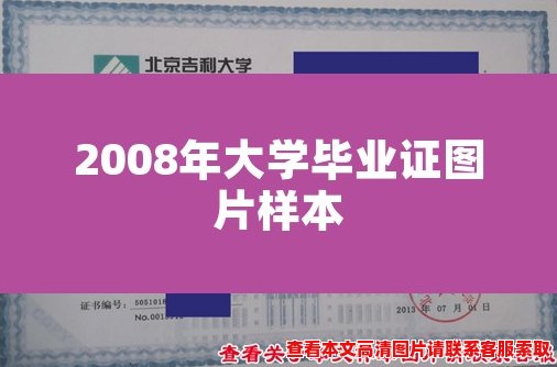 2008年大学毕业证图片样本