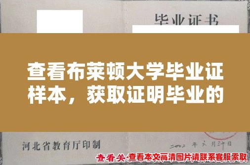 查看布莱顿大学毕业证样本，获取证明毕业的样本图片