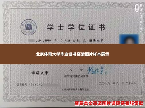 北京体育大学毕业证书高清图片样本展示 北京体育大学毕业证书高清图片样本展示