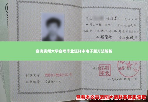 查询贵州大学自考毕业证样本电子版方法解析