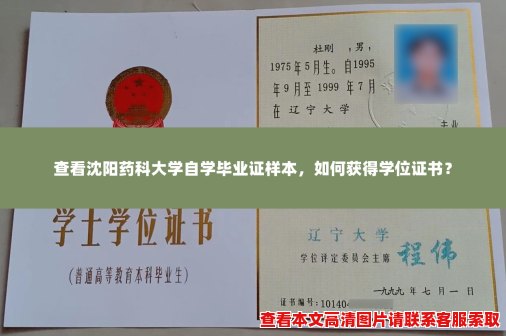查看沈阳药科大学自学毕业证样本，如何获得学位证书？