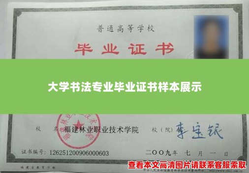 大学书法专业毕业证书样本展示 大学书法专业毕业证书样本展示