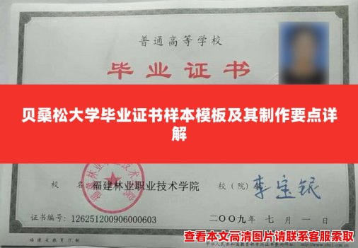 贝桑松大学毕业证书样本模板及其制作要点详解 贝桑松大学毕业证书样本模板及其制作要点详解