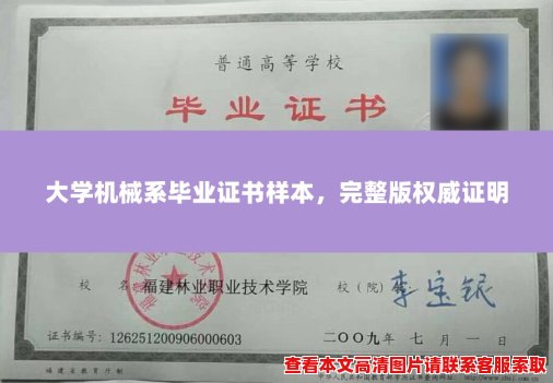 大学机械系毕业证书样本，完整版权威证明