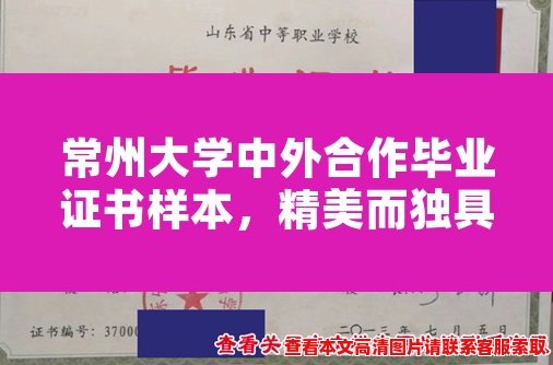常州大学中外合作毕业证书样本，精美而独具特色
