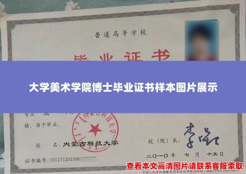 大学美术学院博士毕业证书样本图片展示