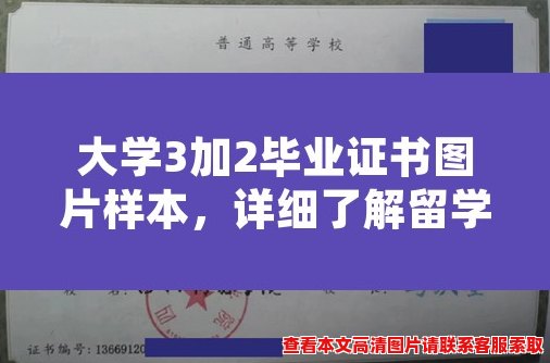 大学3加2毕业证书图片样本，详细了解留学证明、学历提升、教育信息化，一张证书助您三倍造诣