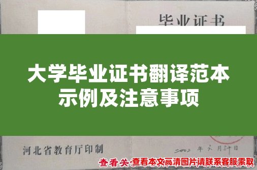 大学毕业证书翻译范本示例及注意事项 大学毕业证书翻译范本示例及注意事项