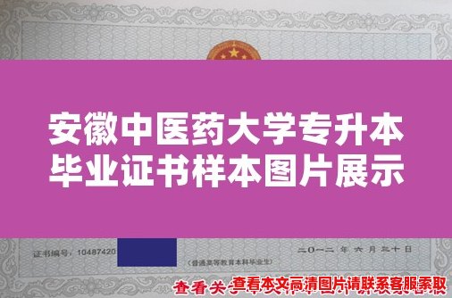 安徽中医药大学专升本毕业证书样本图片展示 安徽中医药大学专升本毕业证书样本图片展示