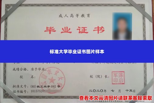 标准大学毕业证书图片样本 标准大学毕业证书图片样本
