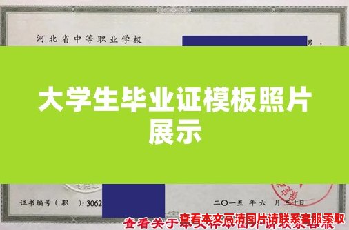 大学生毕业证模板照片展示 大学生毕业证模板照片展示